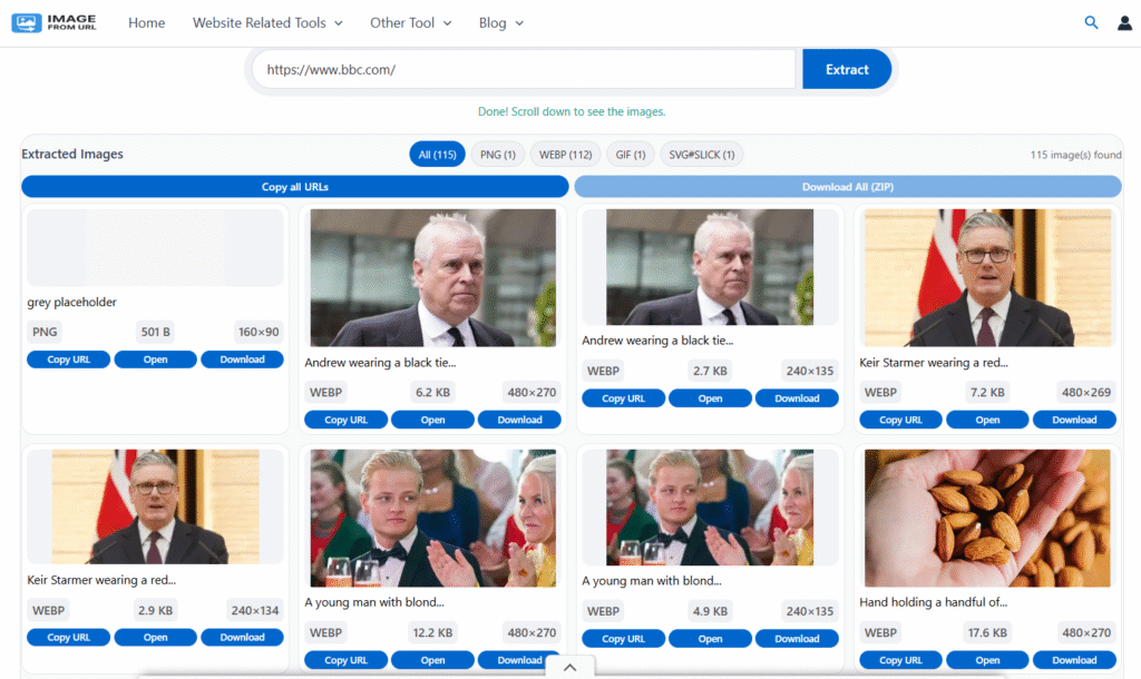 Download picture from internet using a link tool interface screenshot