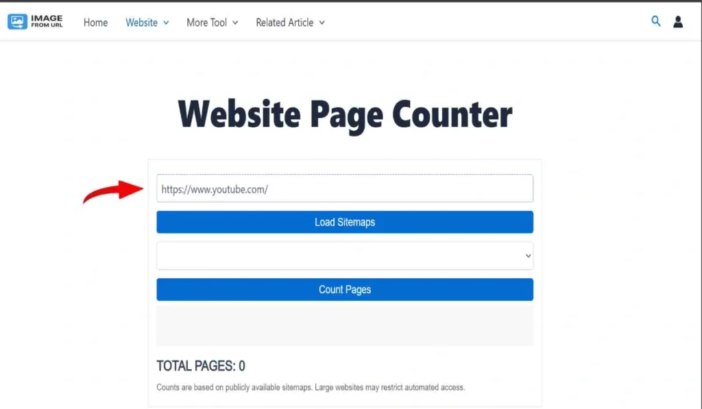 Website URL input field